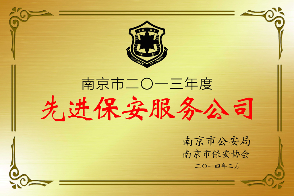 2013年先进保安服务公司